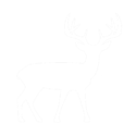 deer icon
