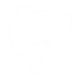fish-icon.png